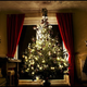 Illustration for article titled Banana Hormones: The Secret to Engineering "Smart" Christmas Trees